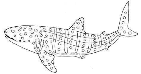 shark coloring pages whale shark coloring pages