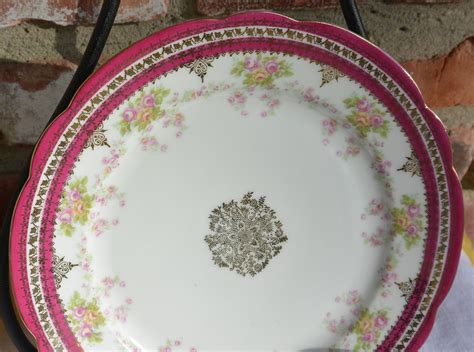 Sale Imperial Crown China Plate Austria Floral Pink Border Etsy