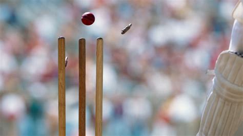 cricket wicket bing wallpaper