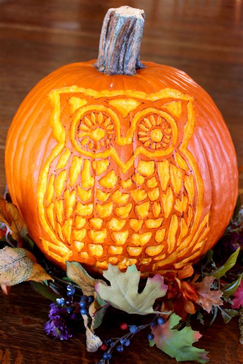 woodland owl pumpkin carving deluxe   nanas