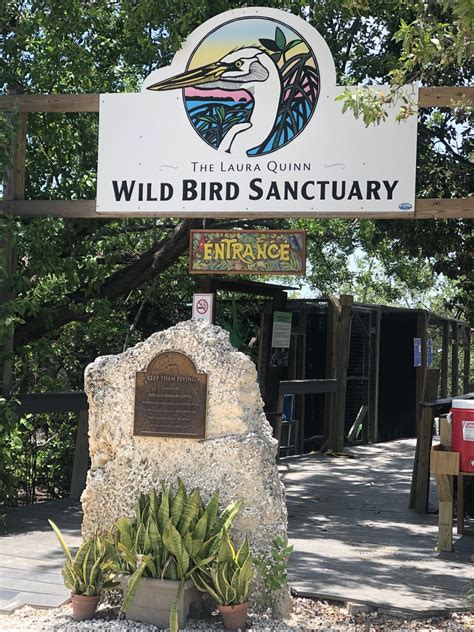 bird center talks activity  pandemic florida keys weekly newspapers