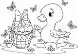 Duckling Eggs Ostern Colorat Oua Pascua Ente Planse Huevos Osternest Patito Ausmalbild Baskets Osterbilder Nest Patos Pascuas 123rf Canasta sketch template