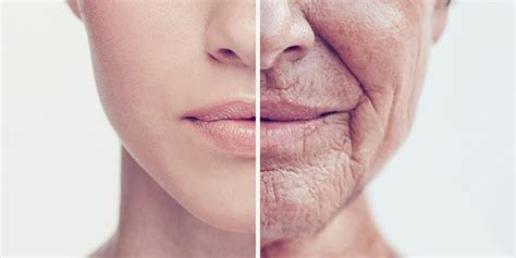 anti aging science archives longevityfacts