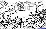 Drawing Rainforest Jungle Easy Landscape Lagoon Beginners Kids Landscapes Drawings Draw Pencil карандашом Tropical джунгли Nature Getdrawings Clipartmag Step Choose sketch template