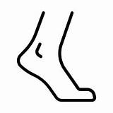 Foot Ankle Icon Heel Barefoot Walking Icons Walk Joints Vector Iconfinder sketch template