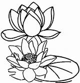Lotus Coloring Pages Printable Flower Leaf Choose Board Sheets Leaves sketch template