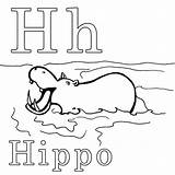 Coloring Hippo Netart Color sketch template