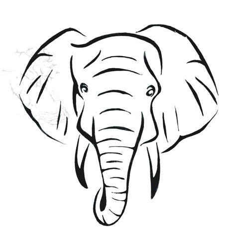 elephant head template clipart