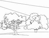 Coloring Pages Tree Trees Fingerprint Kids Printable Print Color Colouring Sheets Nature Beautiful Getcolorings Getdrawings Toddlers sketch template