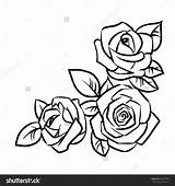 Rose Outline Drawing Simple Flower Google Easy Drawings Basic Tattoo sketch template