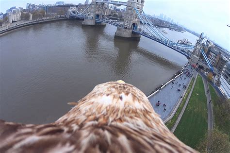 eagle pov video captures view of london s skyline