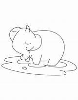 Elephant Mud Coloring Baby Kids sketch template