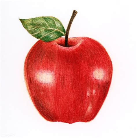 illustration   isolated red apple watercolor style  image
