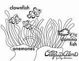 Anemone Coloring Sea Pages Drawing Getcolorings Print Color Pag Getdrawings Printable sketch template