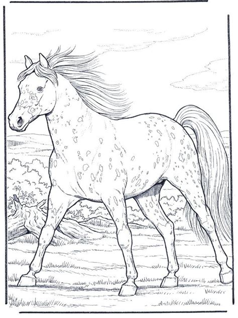 appaloosa horse coloring pages  printables pinterest appaloosa