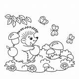 Coloring Igel Hedgehog Colorare Ausmalbild Fumetto Grafiken Funghi Mele Farfalle Isolated Felice Mascotte Polipo Carattere Pilzen Umriss äpfeln Symbole Illustrationen sketch template