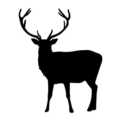 stag silhouette  stock photo public domain pictures