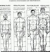 Figure Proportions Human Draw Proportion Drawing Male Female Correct sketch template