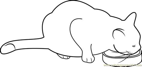 cat head coloring page  getcoloringscom  printable colorings