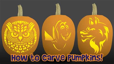 pumpkin carving template owl perfect template ideas