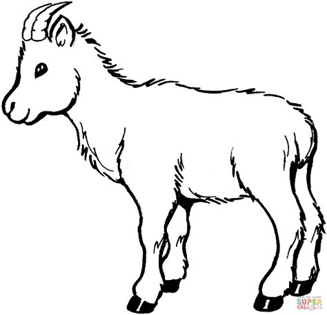 baby goat coloring page  printable coloring pages