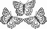Butterfly Coloring Pages Printable Getdrawings sketch template