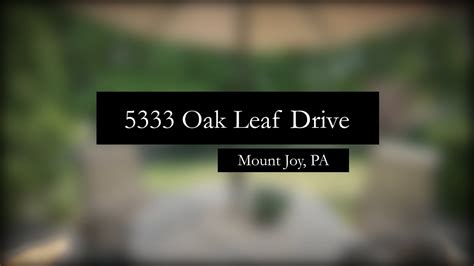 oakl leaf drive mount joy  virtual  youtube