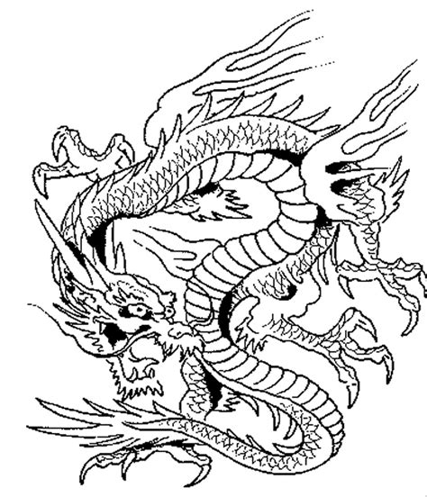 dragon coloring pages  adults printable wuvq dragon