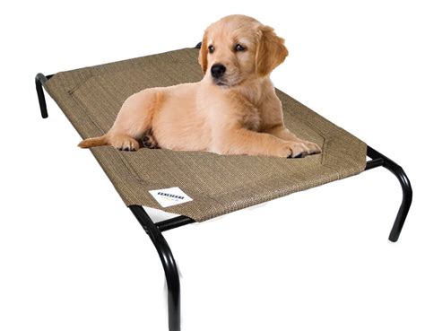 coolaroo original elevated pet bed small nutmeg walmartcom