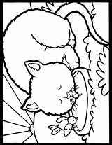 Coloring Pages Dover Publications Cat Welcome Choose Board sketch template
