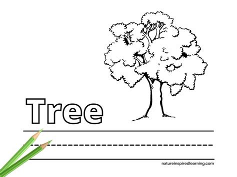 printable coloring pages tree