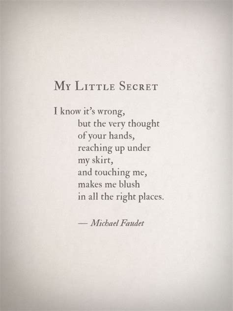 my little secret by michael faudet shameless book club pinterest skirts make me smile and