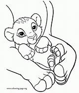 Coloring Baby Lion King Pages Simba Cub Disney Kids Colouring Arms His Mother Print Color Printable Cubs Clipart Template Nala sketch template