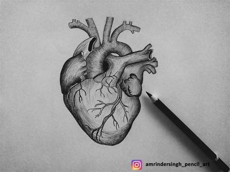 heart drawing heart drawing heart sketch black  white sketches