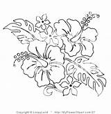 Hibiscus Coloring Flowers Pages Getdrawings Flower sketch template