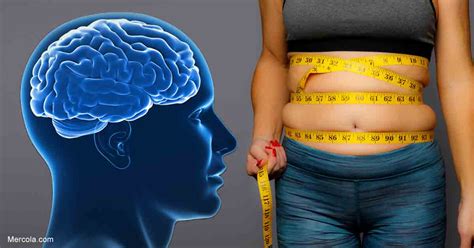 How Obesity Affects The Brain