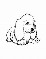Hond Toby Spaniel Cocker Hetkinderhuis Mycoloring Oudere sketch template