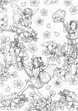 Coloring Fairy Fairies Pages Flower Book Color Kayliebooks Drawings sketch template