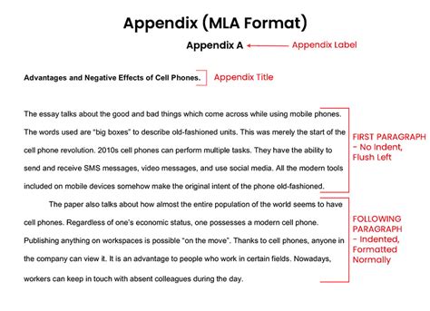 write appendix  essay format process tips examples