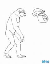 Preistoria Australopithecus Uomini Primitivi Giochiecolori sketch template