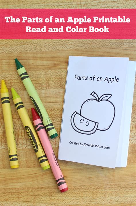 parts   apple printable read  color book