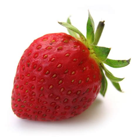 nikos  taste  summer  sign  gods grace strawberries