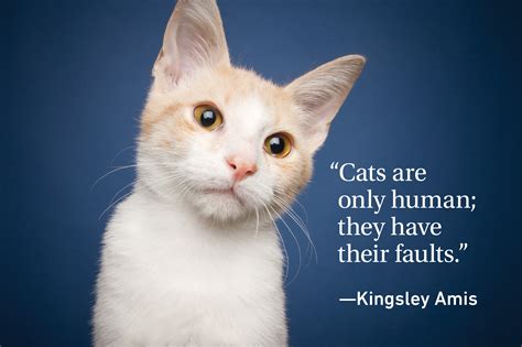 cat quotes  cat owner   readers digest canada