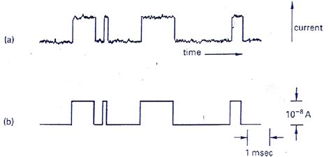 typical waveform  current burst noise   observed  white  scientific diagram