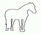 Horse Coloring Stencil Printable Pages Anatomy Book Online Info sketch template