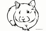 Guinea Pig Pages Coloring Ink Printable Kids Adults sketch template