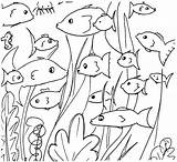 Fish Coloring Doodles Printable Ausmalbild Mit Fischen Kostenloses Meinlilapark sketch template