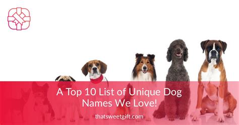 top  list  unique dog names  love thatsweetgift