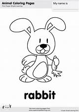 Rabbit Coloring Simple Super sketch template