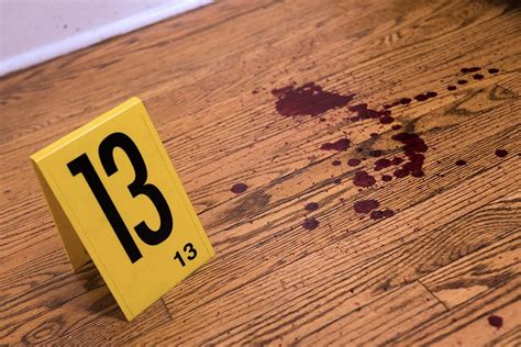 crime scene house introduces    students  forensic science